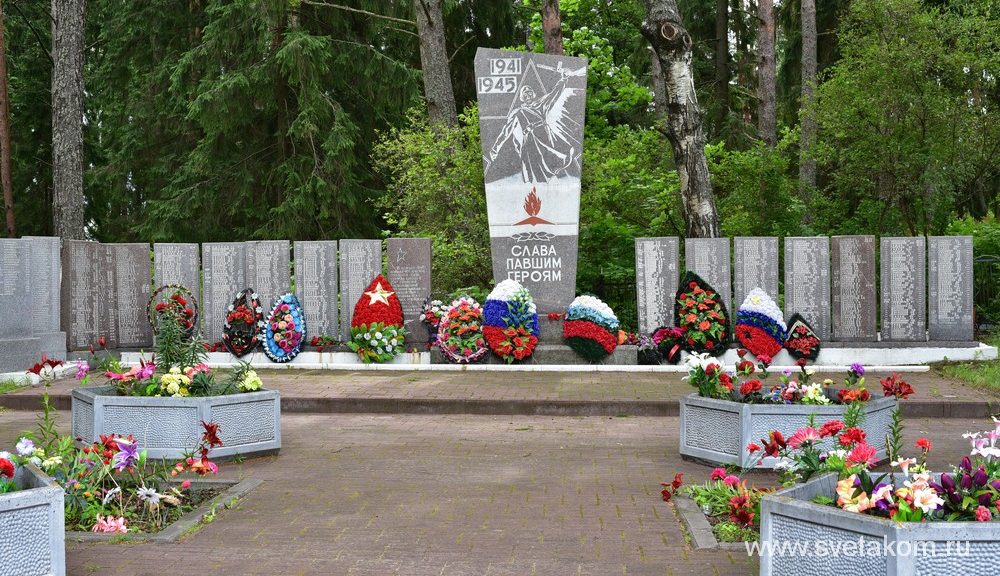 Братская могила воинов Великой Отечественной войны  в поселке Плюсса